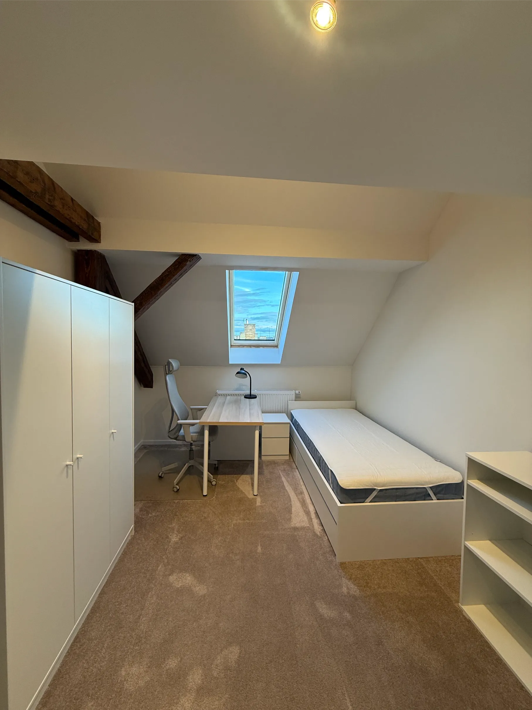 Studovna č. 5 - pracovní prostor